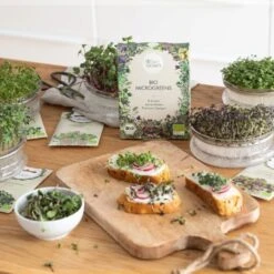 Bio Microgreens 8er Set -Deutschland Gartenbedarf Verkäufe 2024 own grown bio microgreens 8er set 1679545 de