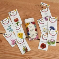 Blumen Beet 10er Set -Deutschland Gartenbedarf Verkäufe 2024 own grown blumen beet 10er set 1679531 de