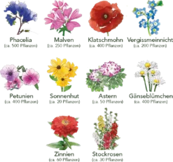 Blumen Beet 10er Set -Deutschland Gartenbedarf Verkäufe 2024 own grown blumen beet 10er set 1679532 de