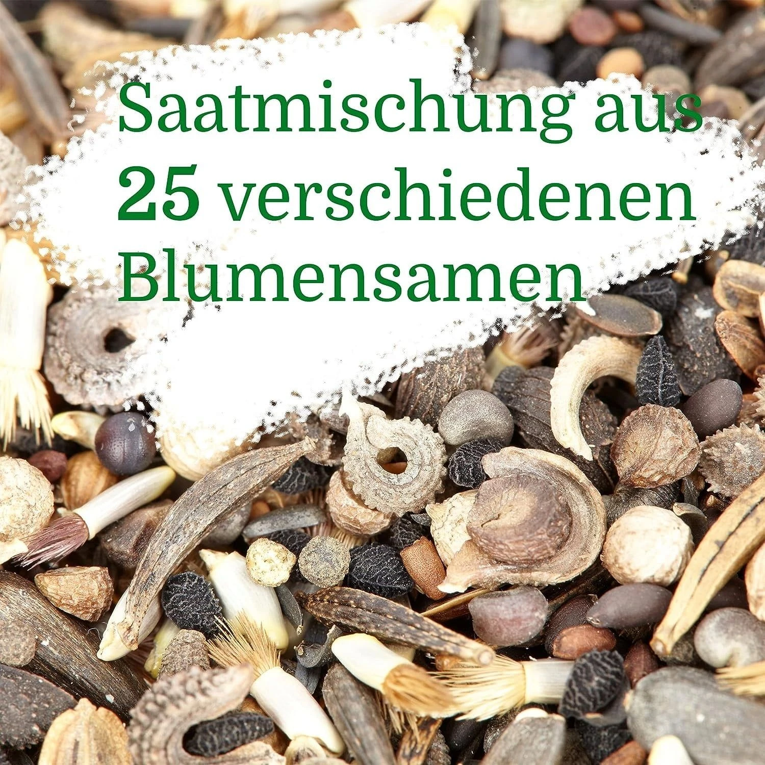 Blumenmischung "Bienenwiese" 5 Blumenmischung "Bienenwiese" – Bild 3