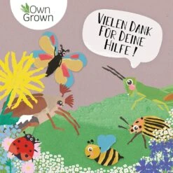 Blumenmischung "Insekteninsel" -Deutschland Gartenbedarf Verkäufe 2024 own grown blumenmischung insekteninsel 1527537 de