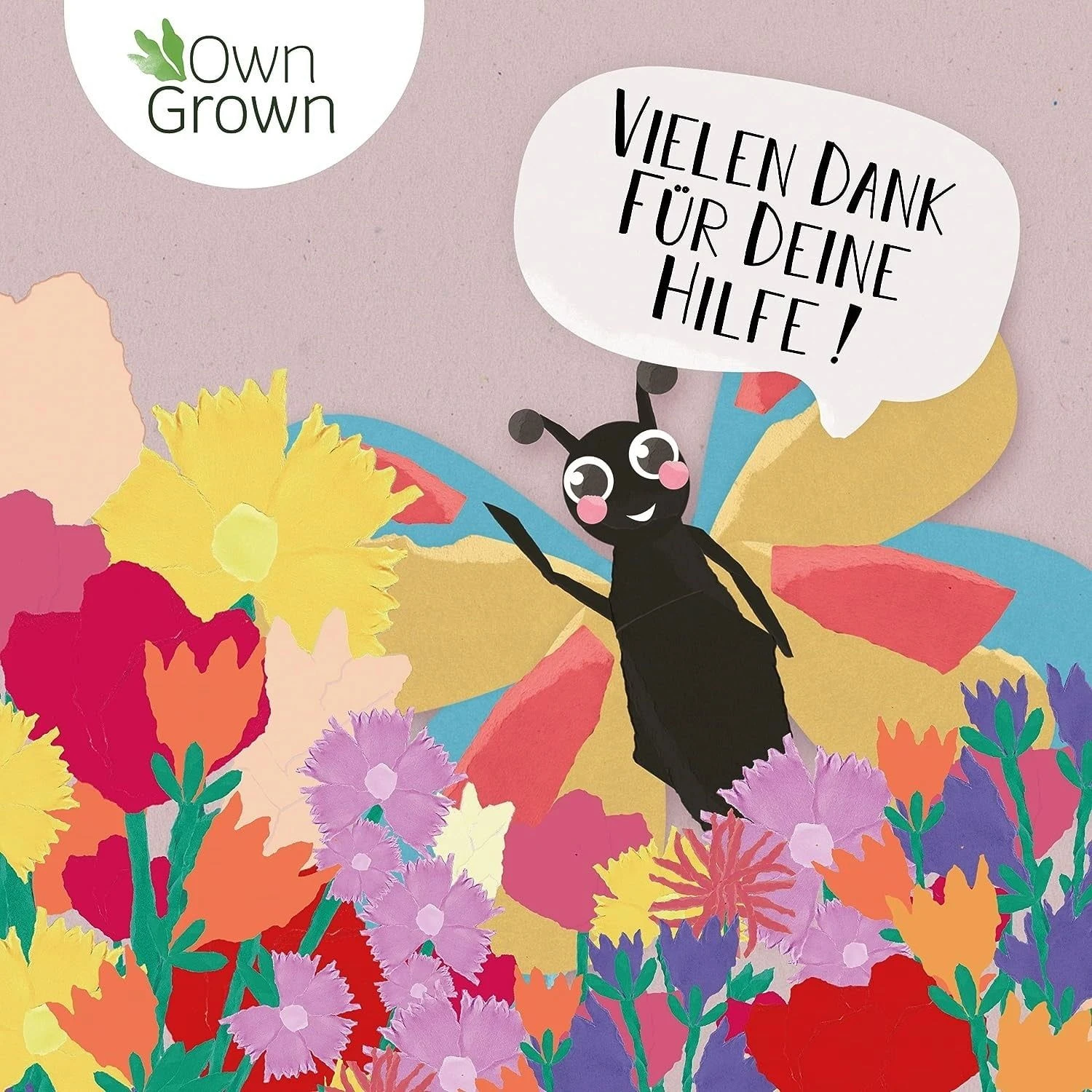 Blumenmischung "Schmetterlingstreff" 5 Blumenmischung "Schmetterlingstreff" – Bild 3