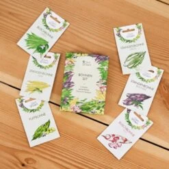 Bohnen-Samen 6er Set -Deutschland Gartenbedarf Verkäufe 2024 own grown bohnen samen 6er set 1679560 de