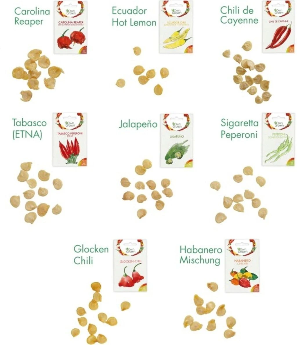 Chili-Samen 8er Saatgut-Set 6 Chili-Samen 8er Saatgut-Set – Bild 4