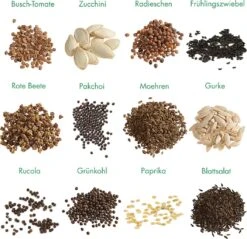Garten-Gemüse 12er Saatgut-Set