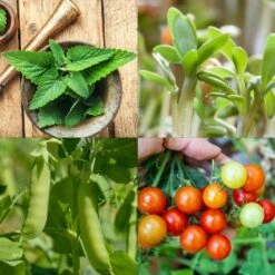 Garten-Helden 10er Set -Deutschland Gartenbedarf Verkäufe 2024 own grown garten helden 10er set 1679579 de