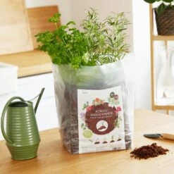 Kokoserde Quellblock 10 L 11 Kokoserde Quellblock 10 L -Deutschland Gartenbedarf Verkäufe 2024 own grown kokoserde quellblock 10 l 1508429 de