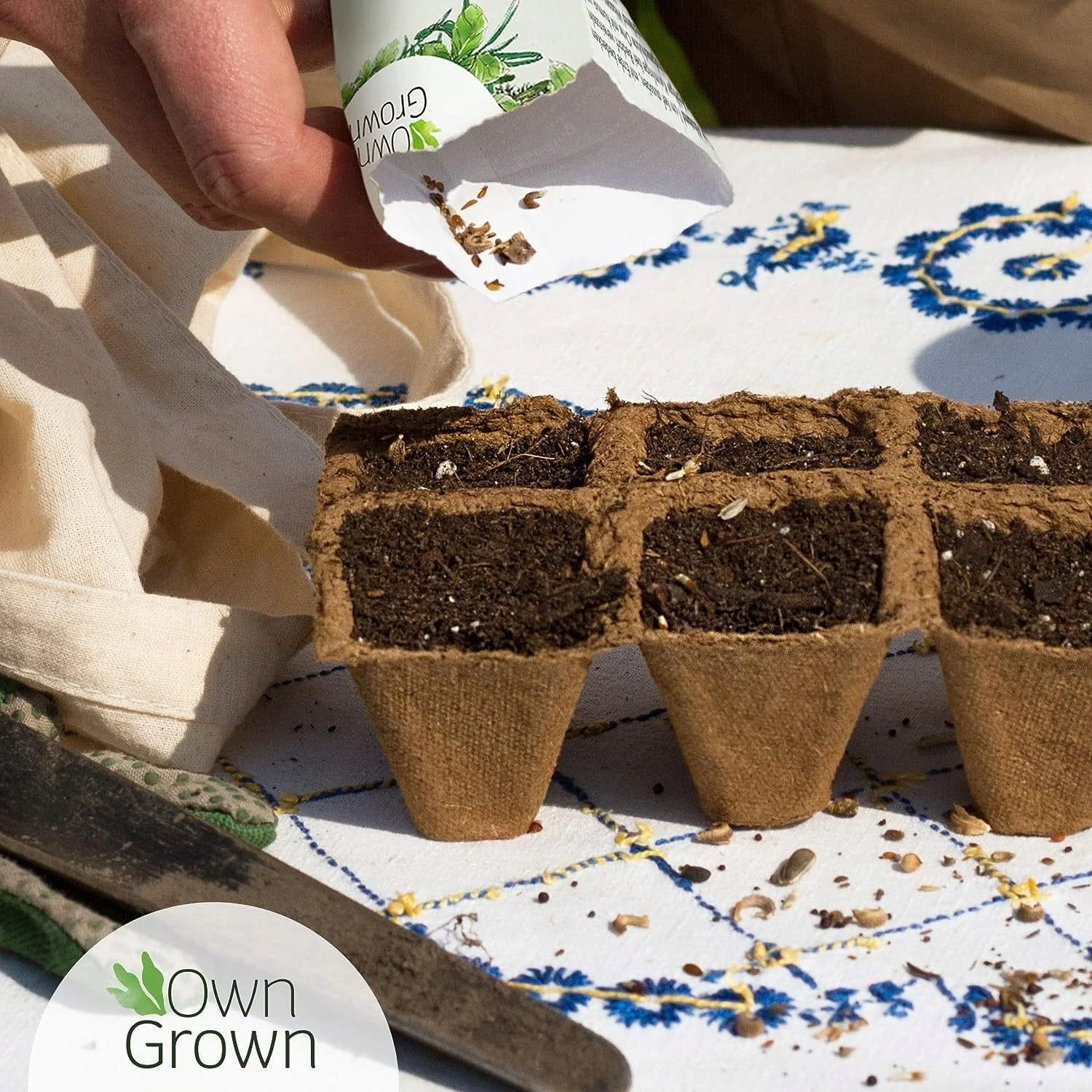 Saatgut "Balkonerdbeere" 5 Saatgut "Balkonerdbeere" – Bild 3