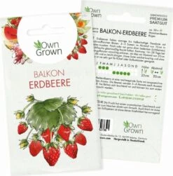Saatgut "Balkonerdbeere"
