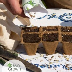 Saatgut "Weiße Erdbeere" -Deutschland Gartenbedarf Verkäufe 2024 own grown saatgut weisse erdbeere 1525961 de