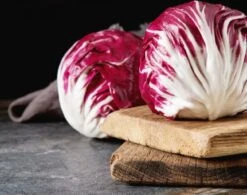 Salat-Samen-Set -Deutschland Gartenbedarf Verkäufe 2024 own grown salat samen set 1682452 de