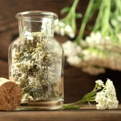 Teekräuter-Samen 8er Set 13 Teekräuter-Samen 8er Set -Deutschland Gartenbedarf Verkäufe 2024 own grown teekraeuter samen 8er set 1325165 de