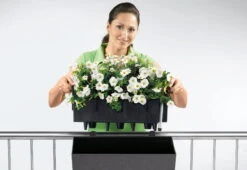 LECHUZA Pflanzgefäß BALCONERA Stone 50, Steingrau 13 LECHUZA Pflanzgefäß BALCONERA Stone 50, Steingrau -Deutschland Gartenbedarf Verkäufe 2024 pflanzgefaess balconera stone 50 673800 de