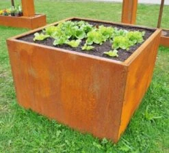 Hochbeet Edelrost "Optimus", 200 X 100 Cm -Deutschland Gartenbedarf Verkäufe 2024 prima terra hochbeet edelrost optimus 1668055 de