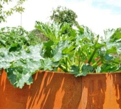 Hochbeet Edelrost "Optimus", 200 X 100 Cm -Deutschland Gartenbedarf Verkäufe 2024 prima terra hochbeet edelrost optimus 1668056 de