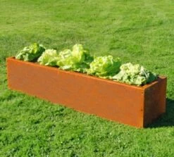 Hochbeet Edelrost "Planus", 158 X 38 Cm 15 Hochbeet Edelrost "Planus", 158 X 38 Cm -Deutschland Gartenbedarf Verkäufe 2024 prima terra hochbeet edelrost planus 158 x 38 cm 1668074 de