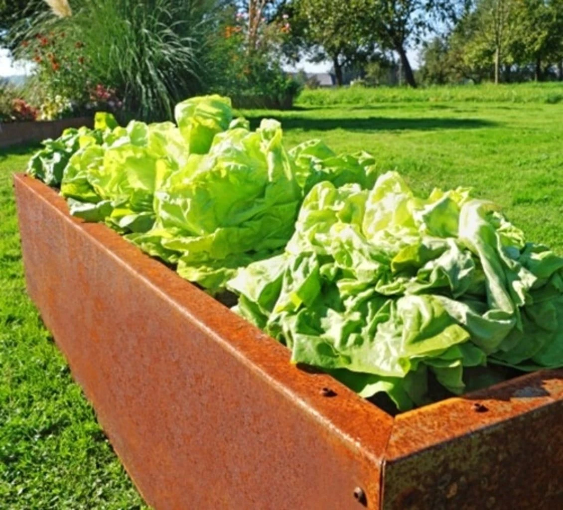 Hochbeet Edelrost "Planus", 158 X 38 Cm 4 Hochbeet Edelrost "Planus", 158 X 38 Cm – Bild 2