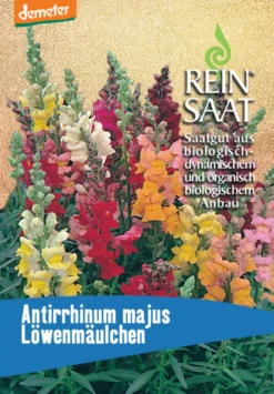 Löwenmäulchen 5 Löwenmäulchen -Deutschland Gartenbedarf Verkäufe 2024 reinsaat loewenmaeulchen 1 paket 1677027 de