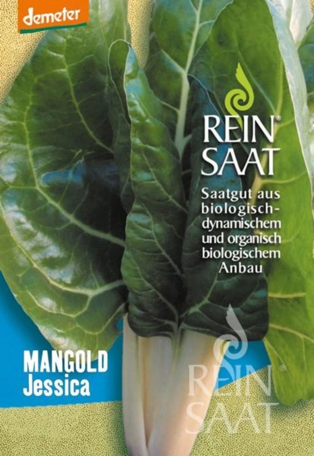 Mangold "Jessica" 3 Mangold "Jessica"