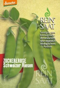 Zuckererbsen "Schweizer Riesen"
