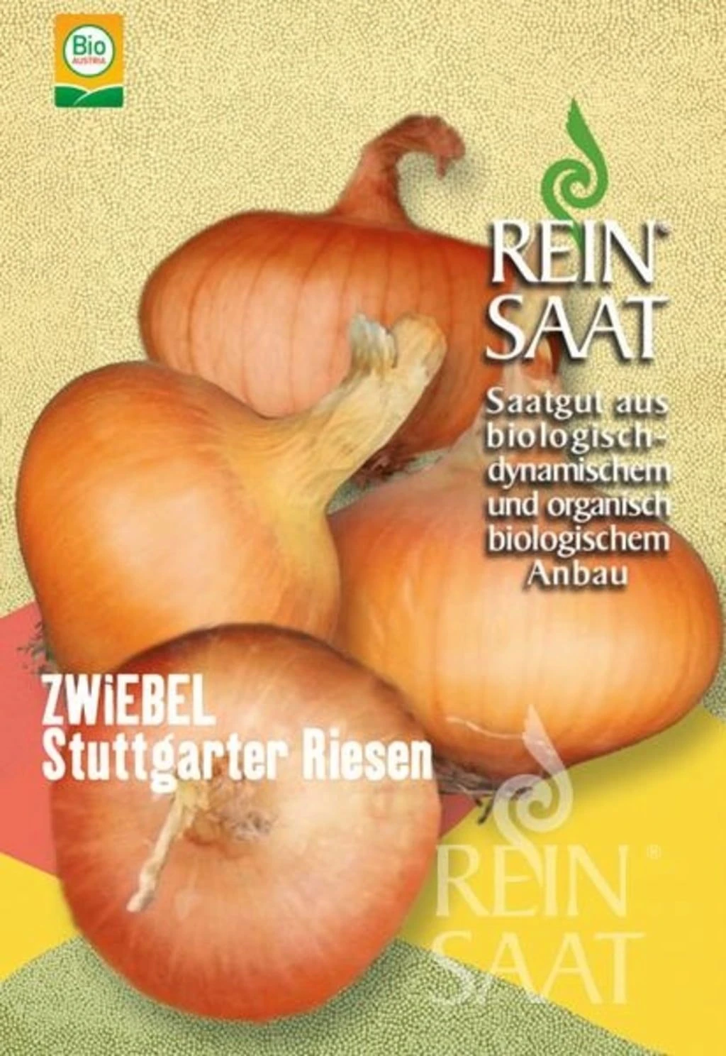 Zwiebel ''Stuttgarter Riesen'' 4 Zwiebel ''Stuttgarter Riesen'' – Bild 2