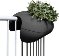 Balkongefäß "Balconismo" 18 Balkongefäß "Balconismo" -Deutschland Gartenbedarf Verkäufe 2024 rephorm balkongefaess balconismo 1 st 1677565 de