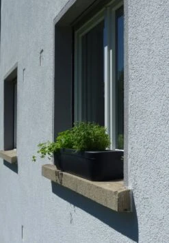 Fensterbank-Blumenkasten "Windowgreen", Graphit (anthrazit) 7 Fensterbank-Blumenkasten "Windowgreen", Graphit (anthrazit) -Deutschland Gartenbedarf Verkäufe 2024 rephorm fensterbank blumenkasten windowgreen graphit anthrazit 985185 de