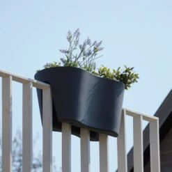 Geländertopf "Steckling Duo", Graphit (anthrazit) 8 Geländertopf "Steckling Duo", Graphit (anthrazit) -Deutschland Gartenbedarf Verkäufe 2024 rephorm gelaendertopf steckling duo graphit anthrazit 985818 de