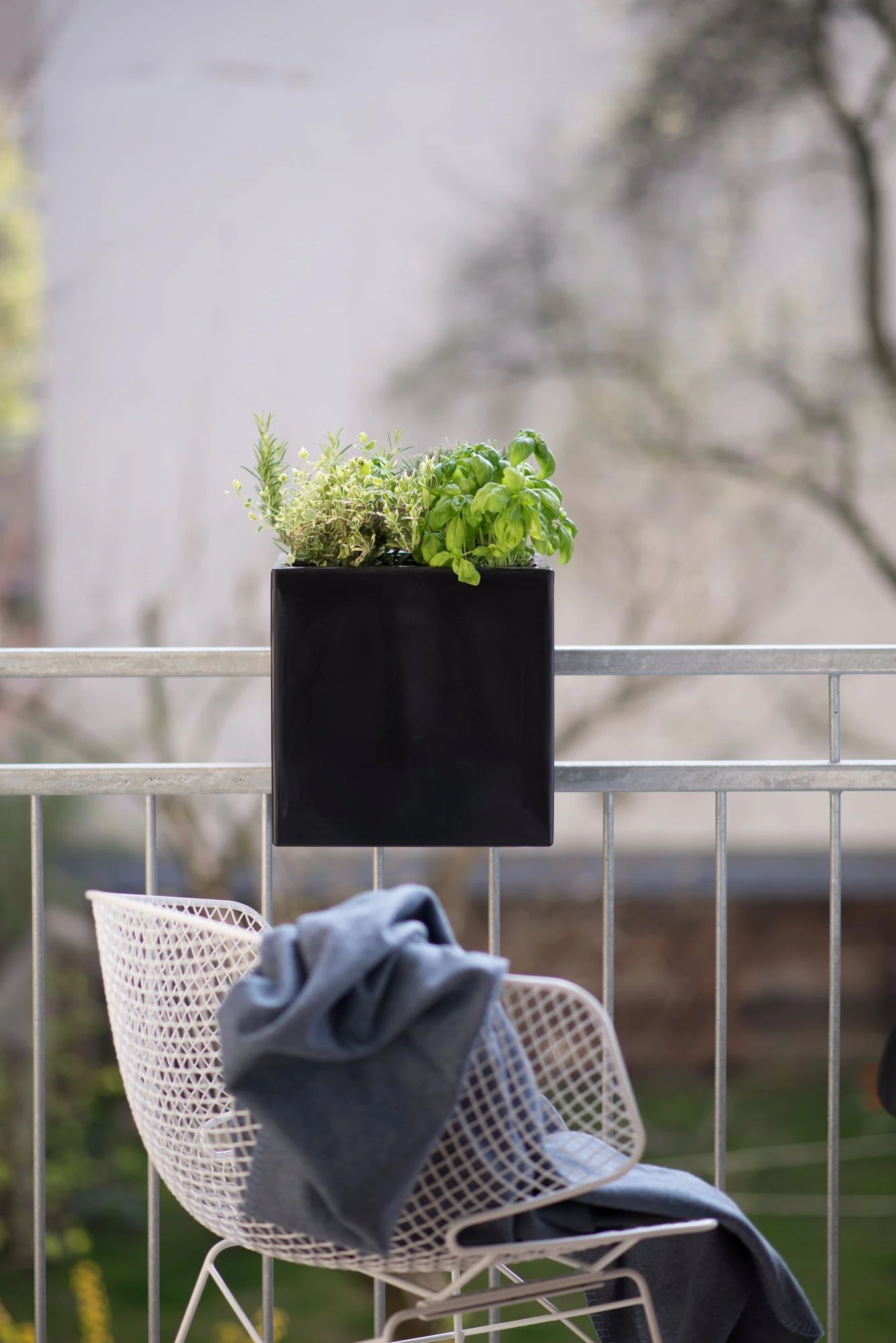 Pflanzbehälter "Steckling Cube", Graphit (anthrazit) 4 Pflanzbehälter "Steckling Cube", Graphit (anthrazit) – Bild 2