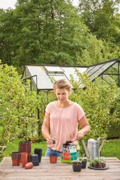 12 Kunststofftöpfe9 Cm Quadr., Schwarz -Deutschland Gartenbedarf Verkäufe 2024 romberg 12 kunststofftoepfe 9 cm quadr schwarz 1 st 906150 de