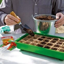 144 Anzuchttöpfe 5 Cm - 12 Strips à 12 Töpfe 9 144 Anzuchttöpfe 5 Cm - 12 Strips à 12 Töpfe -Deutschland Gartenbedarf Verkäufe 2024 romberg 144 anzuchttoepfe 5 cm 12 strips a 12 toepfe 1501713 de