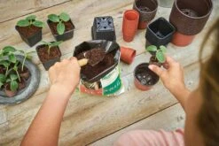 22 Kunststofftöpfe 5 Cm Rund - Terracotta -Deutschland Gartenbedarf Verkäufe 2024 romberg 22 kunststofftoepfe 55 cm rund terracotta 1 st 906000 de