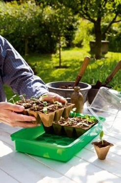 36 Anzuchttöpfe 5 Cm - 6 Strips à 6 Töpfe 7 36 Anzuchttöpfe 5 Cm - 6 Strips à 6 Töpfe -Deutschland Gartenbedarf Verkäufe 2024 romberg 36 anzuchttoepfe 5 cm 6 strips a 6 toepfe 1 paket 1668656 de