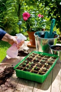 Anzuchthaus M PLUS POTS Inkl. 24 Anzuchttöpfe Im Strip 9 Anzuchthaus M PLUS POTS Inkl. 24 Anzuchttöpfe Im Strip -Deutschland Gartenbedarf Verkäufe 2024 romberg anzuchthaus m plus pots inkl 24 anzuchttoepfe im strip 1 st 1668666 de