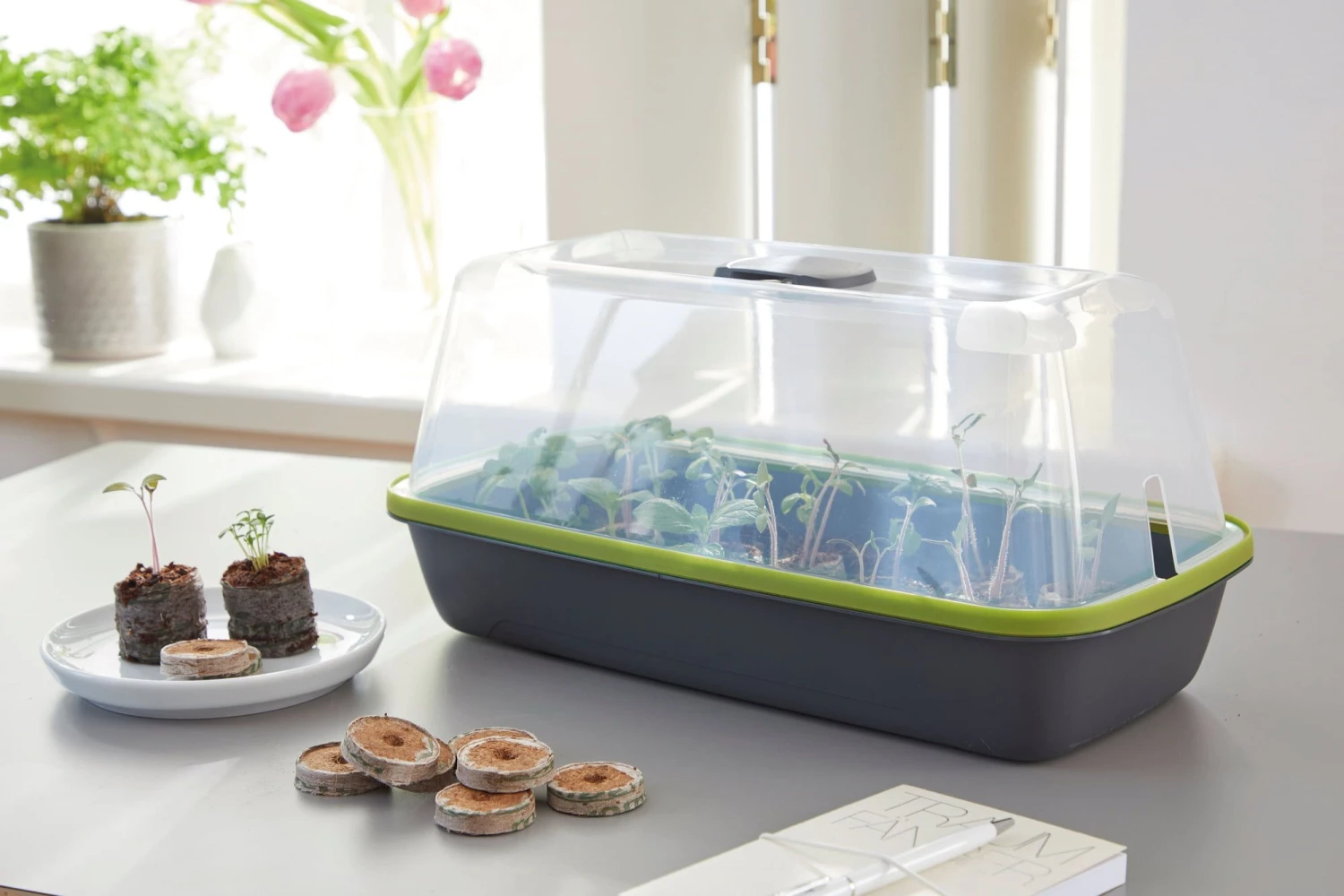 Anzuchtschale M BOQUBE Anthrazit-Sommergrün 4 Anzuchtschale M BOQUBE Anthrazit-Sommergrün – Bild 2