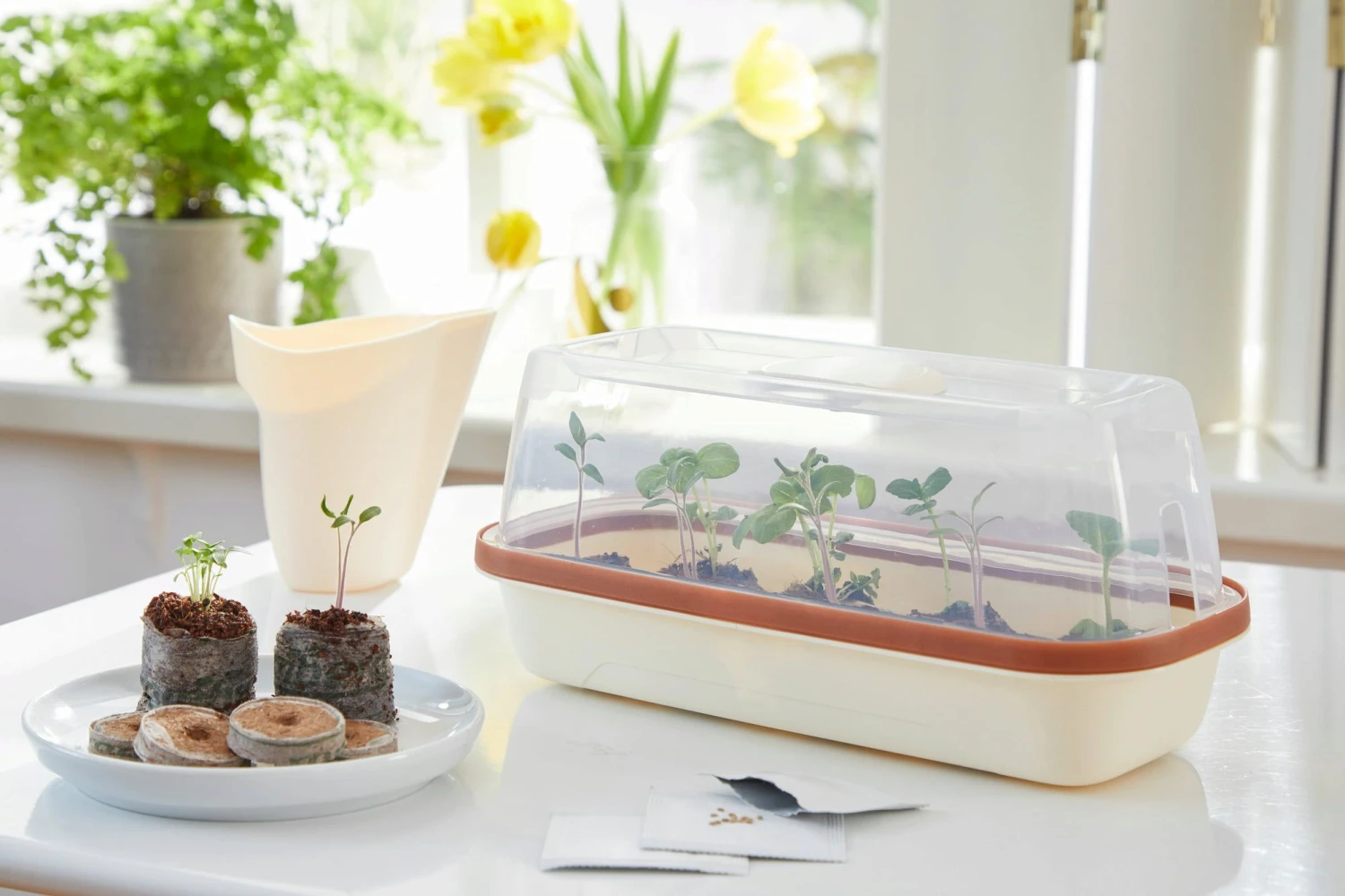 Anzuchtschale S BOQUBE Creme-Kupferbraun 3 Anzuchtschale S BOQUBE Creme-Kupferbraun – Bild 2