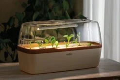 Gewächshaus & Pflanzkasten BoQube L PLUS LED - Creme-Kupferbraun 8 Gewächshaus & Pflanzkasten BoQube L PLUS LED - Creme-Kupferbraun -Deutschland Gartenbedarf Verkäufe 2024 romberg boqube l plus led creme kupferbraun 1 stk 819778 de