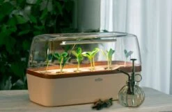 Gewächshaus & Pflanzkasten BoQube L PLUS LED - Creme-Kupferbraun 9 Gewächshaus & Pflanzkasten BoQube L PLUS LED - Creme-Kupferbraun -Deutschland Gartenbedarf Verkäufe 2024 romberg boqube l plus led creme kupferbraun 1 stk 819798 de