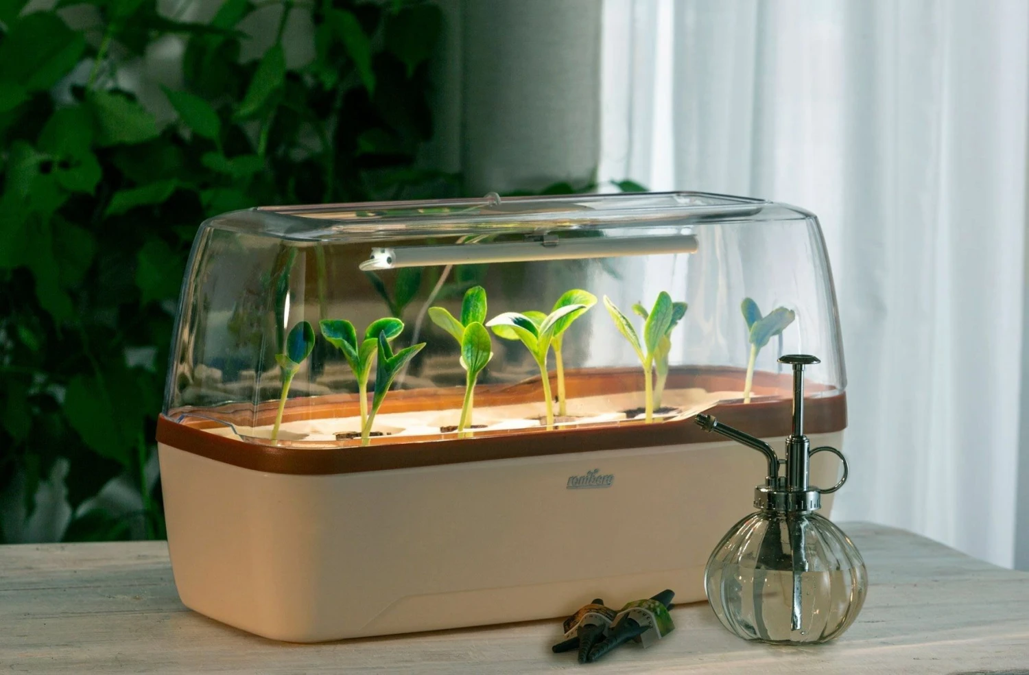 Gewächshaus & Pflanzkasten BoQube L PLUS LED - Creme-Kupferbraun 6 Gewächshaus & Pflanzkasten BoQube L PLUS LED - Creme-Kupferbraun – Bild 4