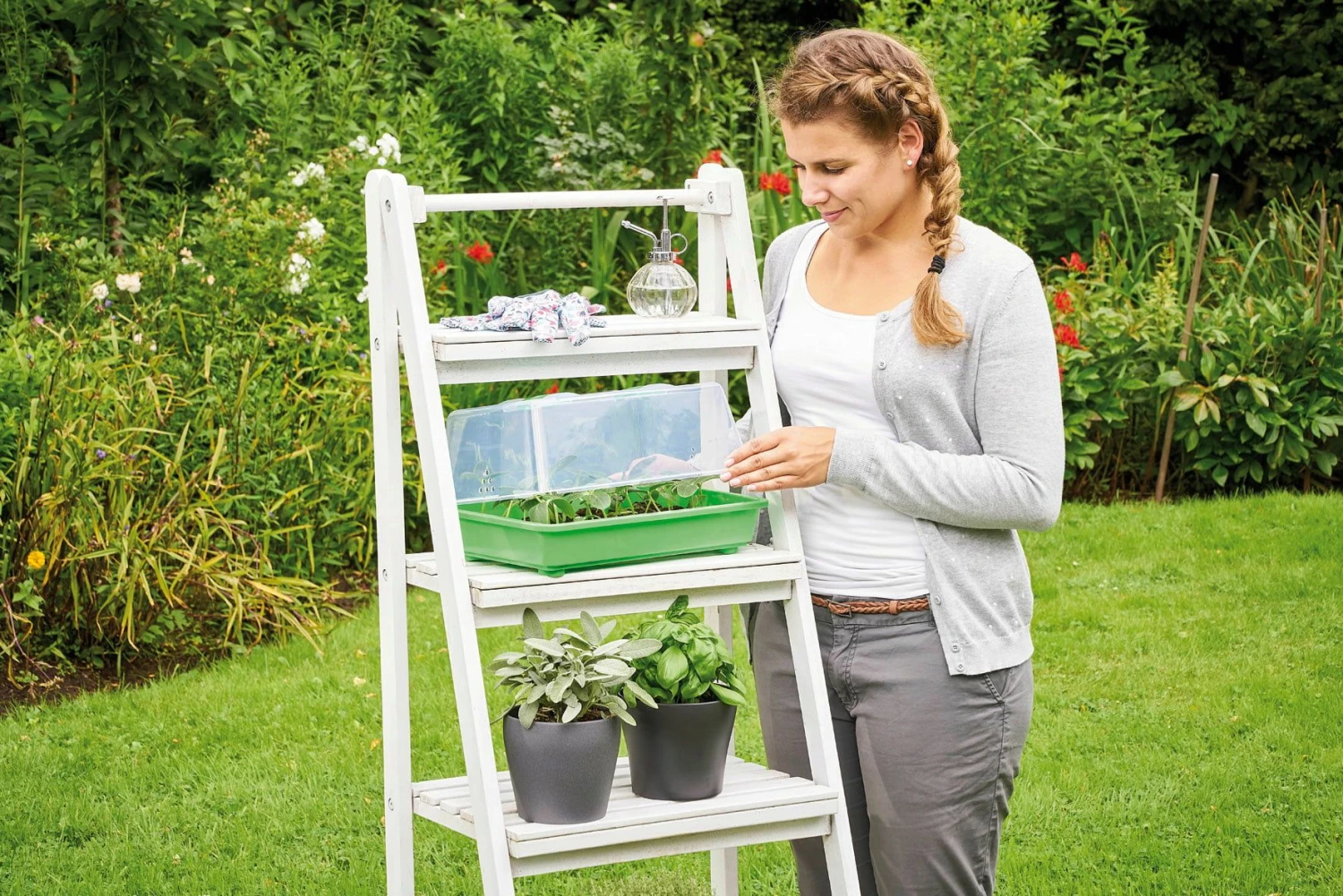 Classic Gewächshaus M 4 Classic Gewächshaus M – Bild 2