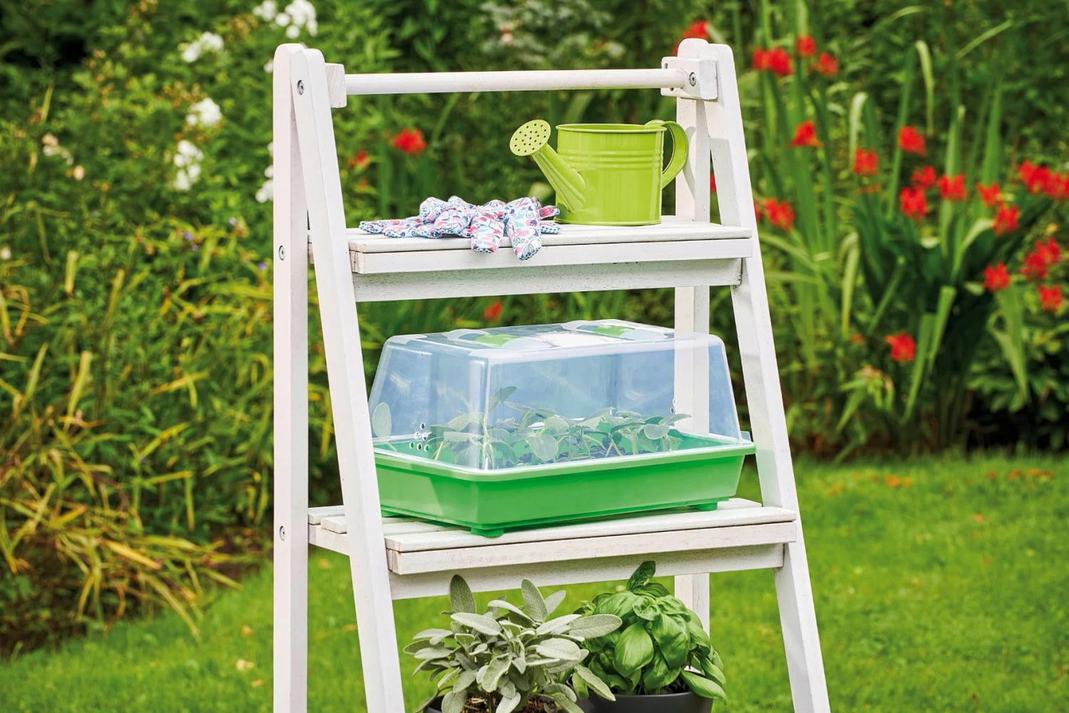 Classic Gewächshaus M 7 Classic Gewächshaus M – Bild 5