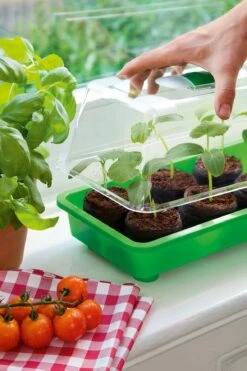 6 Kokos-Quelltabletten, Ø 70 Mm, 6 Stück -Deutschland Gartenbedarf Verkäufe 2024 romberg classic kokos quelltabletten oe 70 mm 6 st 909383 de