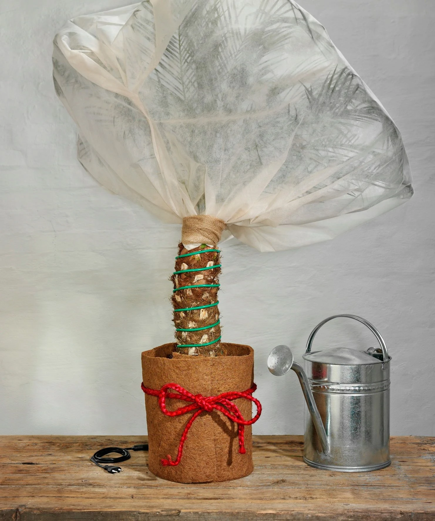 Classic Pflanzenheizung, 10 M (8 M Heizbar) 40 Watt 3 Classic Pflanzenheizung, 10 M (8 M Heizbar) 40 Watt