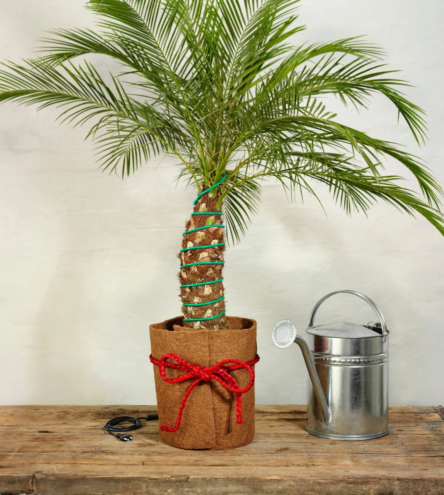 Classic Pflanzenheizung, 10 M (8 M Heizbar) 40 Watt 6 Classic Pflanzenheizung, 10 M (8 M Heizbar) 40 Watt – Bild 4