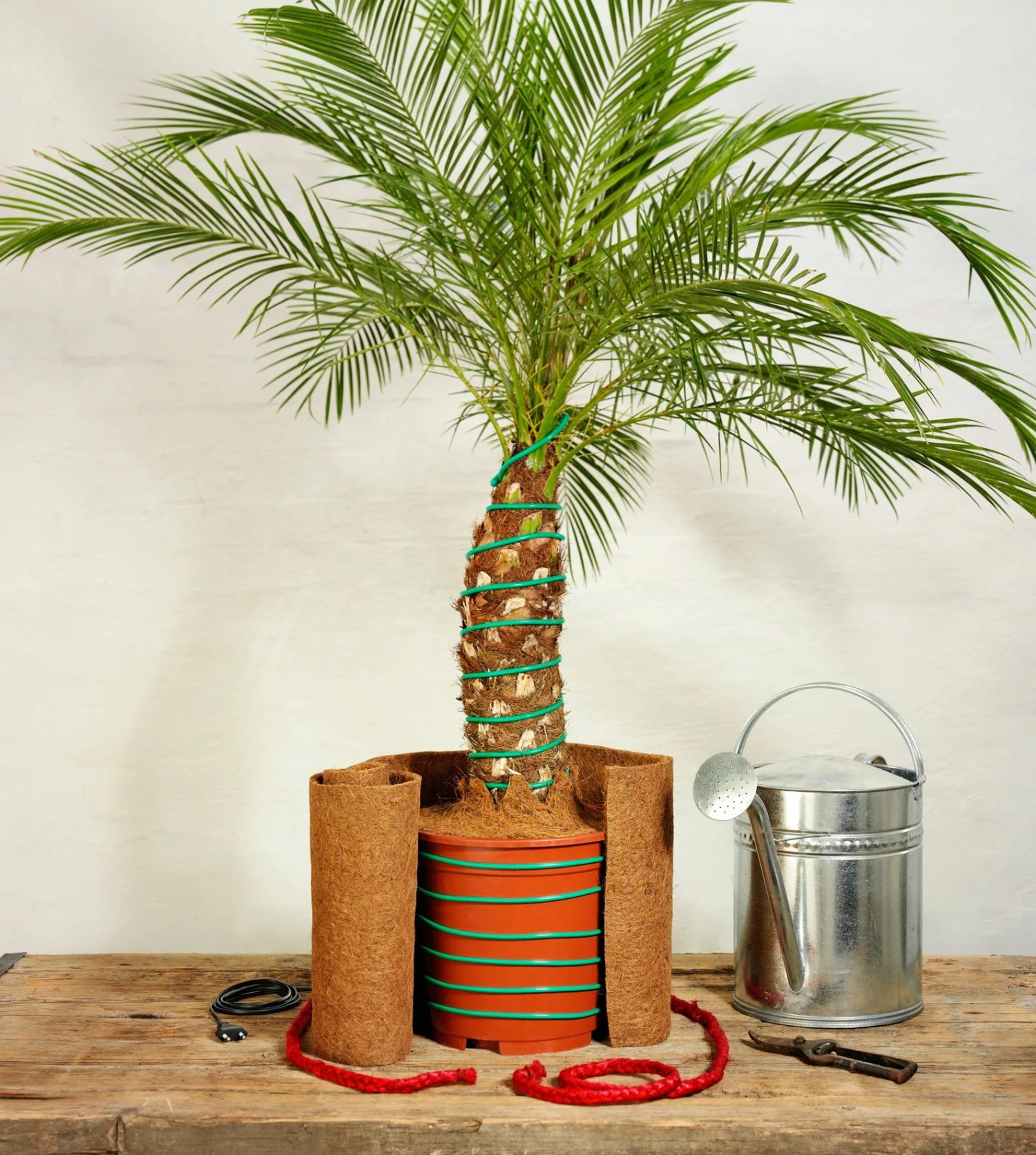 Classic Pflanzenheizung, 10 M (8 M Heizbar) 40 Watt 5 Classic Pflanzenheizung, 10 M (8 M Heizbar) 40 Watt – Bild 3