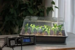 Climatic M Gewächshaus Set LED 18 Climatic M Gewächshaus Set LED -Deutschland Gartenbedarf Verkäufe 2024 romberg climatic m gewaechshaus set led 1 set 820360 de