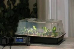 Climatic M Gewächshaus Set LED 15 Climatic M Gewächshaus Set LED -Deutschland Gartenbedarf Verkäufe 2024 romberg climatic m gewaechshaus set led 1 set 820367 de