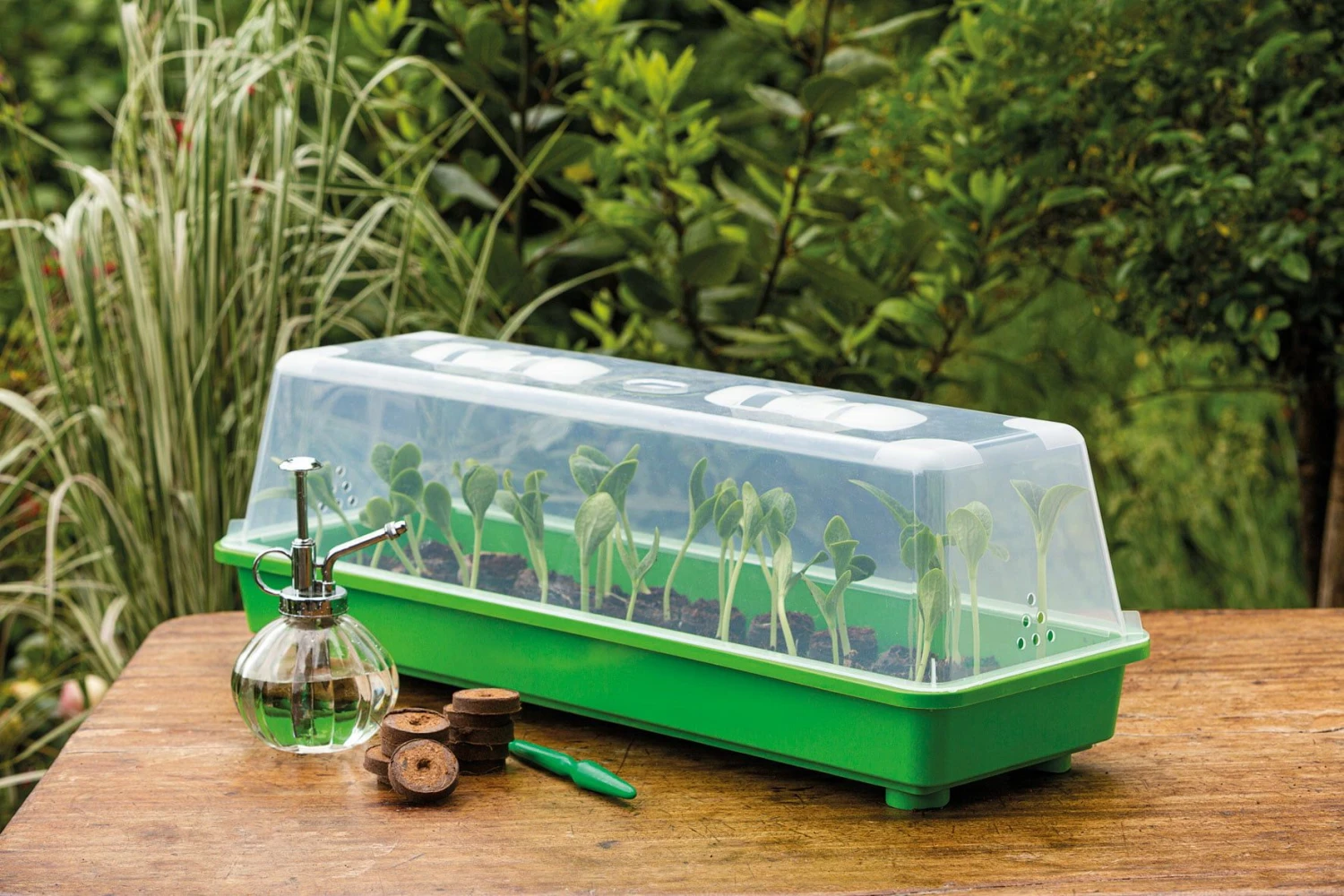 Gewächshaus L Mit Belüftung 3 Gewächshaus L Mit Belüftung