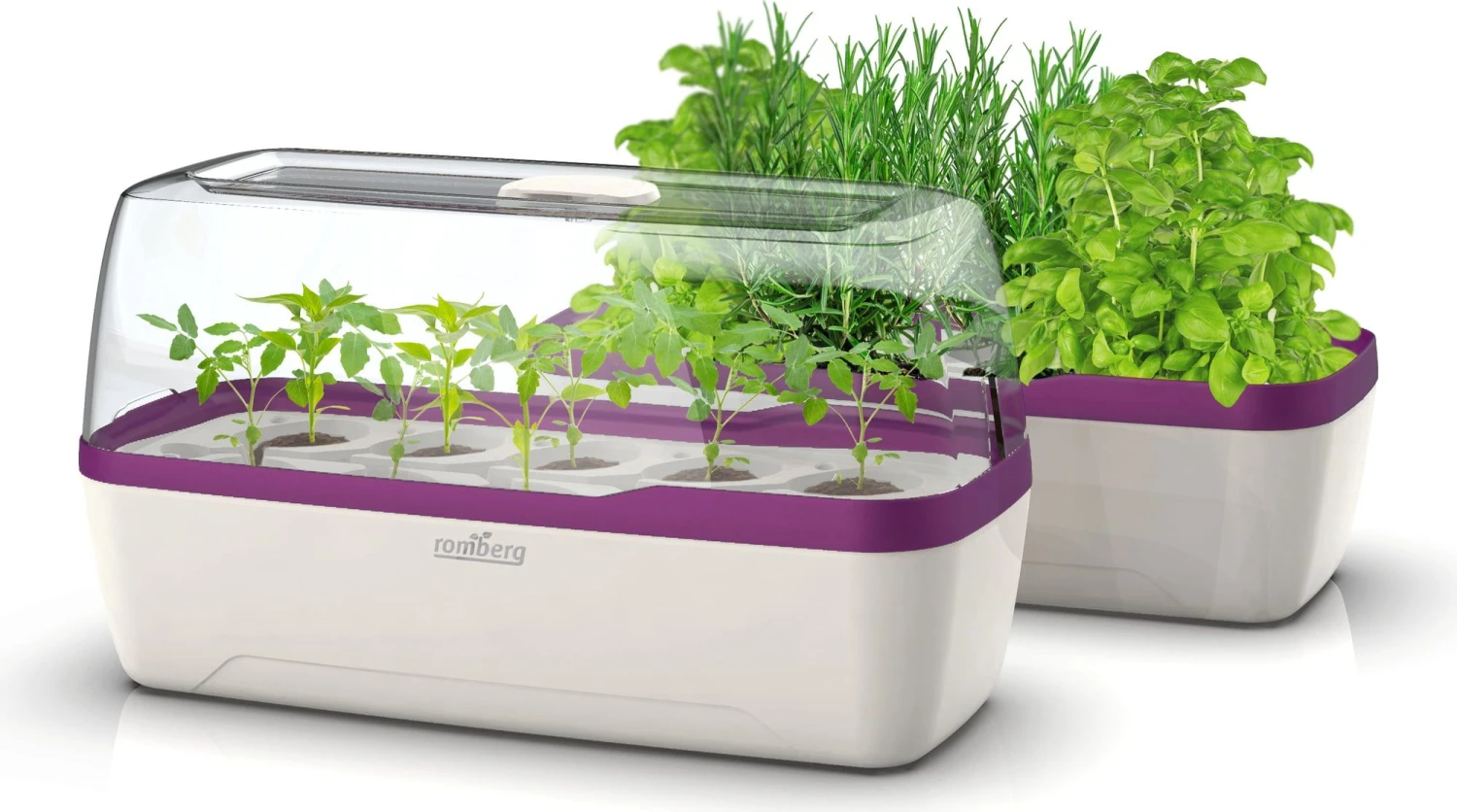 Gewächshaus & Pflanzkasten L - BoQube In Weiß-Pflaume 3 Gewächshaus & Pflanzkasten L - BoQube In Weiß-Pflaume