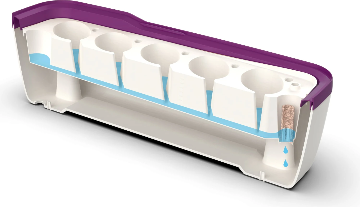 Gewächshaus & Pflanzkasten L - BoQube In Weiß-Pflaume 8 Gewächshaus & Pflanzkasten L - BoQube In Weiß-Pflaume – Bild 6